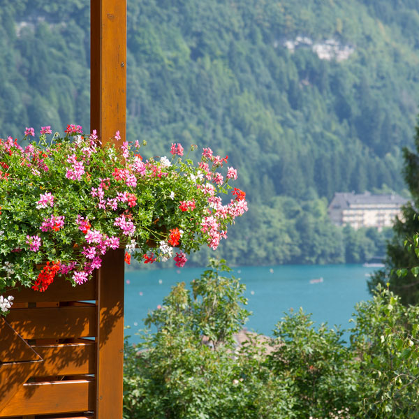 Relax on Lake Molveno